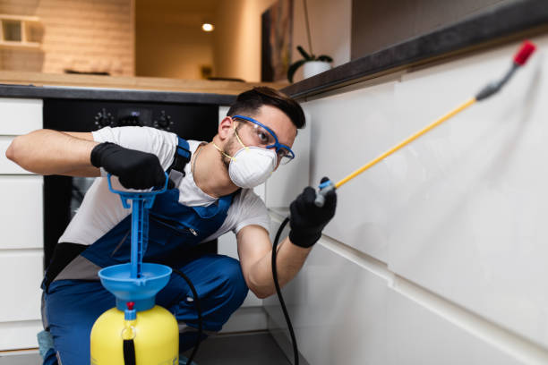 Best Pest Inspection Near Me  in Harrisburg, SD