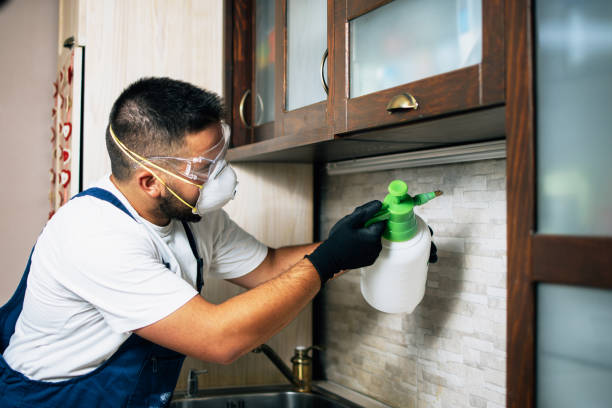 Best Mosquito Control Services  in Harrisburg, SD