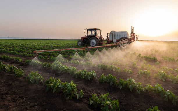Best Wildlife Control Services  in Harrisburg, SD