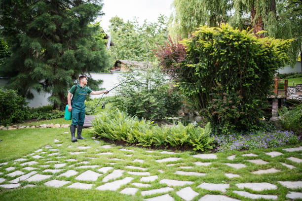 Best Pest Removal Services  in Harrisburg, SD