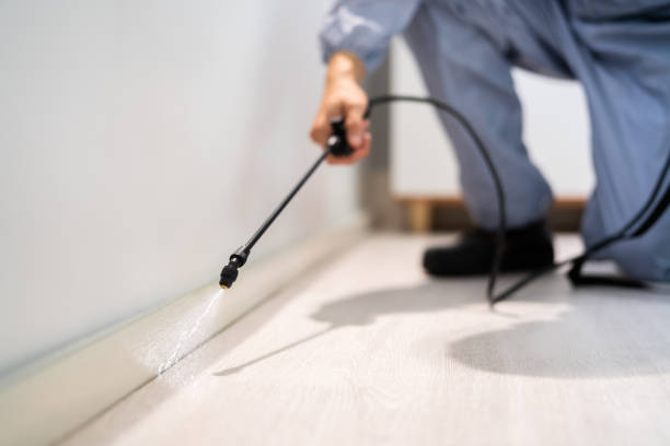 Trusted Harrisburg, SD Pest Control Experts