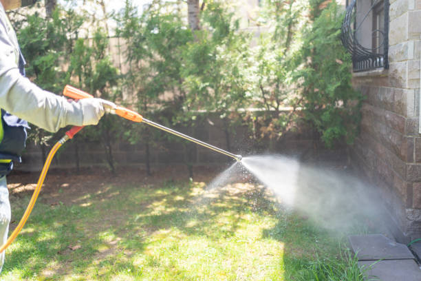 Best Wasp Removal Services  in Harrisburg, SD