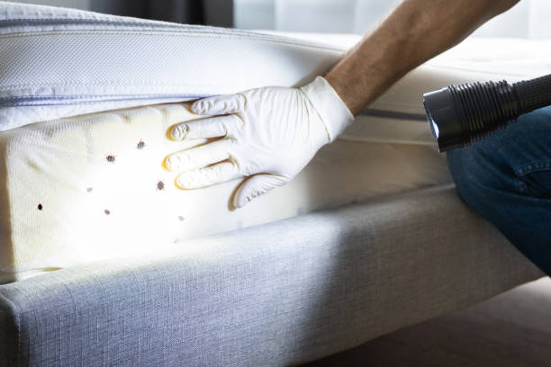 Best Commercial Pest Control Services  in Harrisburg, SD