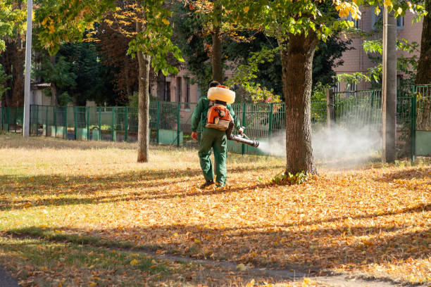 Best Best Pest Control Companies  in Harrisburg, SD