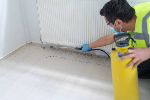 Best Affordable Pest Control Services  in Harrisburg, SD