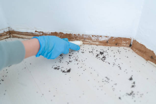 Pest Control for Restaurants in Harrisburg, SD